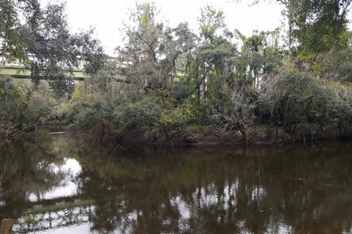 Camping in Lithia Springs, Florida