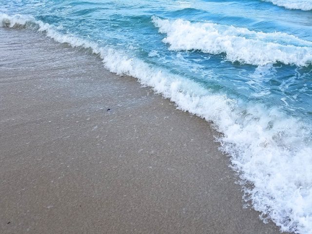 Packing for Florida Spring